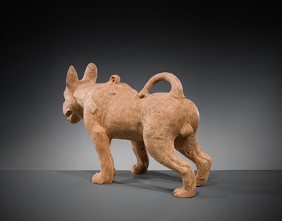 Lot 128 - A VERY LARGE SICHUAN POTTERY MODEL OF A HARNESSED DOG, HAN DYNASTY
