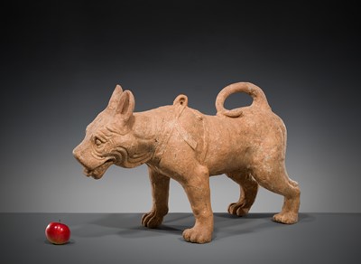 Lot 128 - A VERY LARGE SICHUAN POTTERY MODEL OF A HARNESSED DOG, HAN DYNASTY