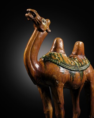 A SANCAI-GLAZED POTTERY FIGURE OF A BACTRIAN CAMEL, TANG DYNASTY