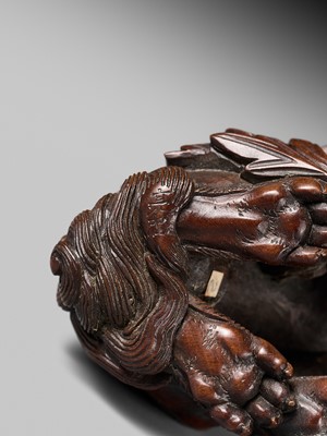 Lot 184 - SUKETADA: A SUPERB WOOD NETSUKE OF A SHISHI WITH PEONY