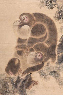 Lot 783 - AN AMUSING SCROLL PAINTING OF MONKEYS ON A PINE TREE