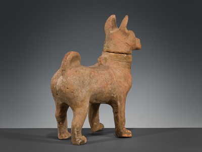 A SICHUAN POTTERY MODEL OF A HARNESSED DOG, HAN DYNASTY