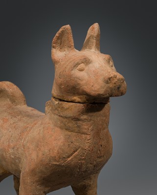 A SICHUAN POTTERY MODEL OF A HARNESSED DOG, HAN DYNASTY
