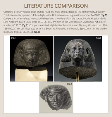 Lot 8 - AN EXPRESSIVE BLACK BASALT HEAD OF A MALE OFFICIAL, MIDDLE KINGDOM, DYNASTY XII-XIII