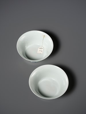 Lot 166 - A RARE PAIR OF DOUCAI ‘MEDALLION’ BOWLS, JIAQING MARKS AND OF THE PERIOD, WITH MATCHING IMPERIAL LACQUER STANDS