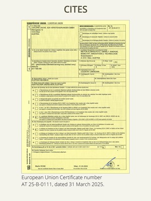 Lot 49 - AN IVORY FIGURE OF BUDDHA SHAKYAMUNI, 18TH-19TH CENTURY
