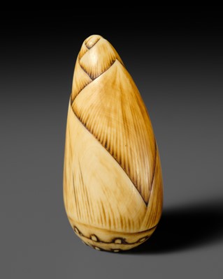 Lot 451 - A FINE IVORY NETSUKE OF A BAMBOO SHOOT