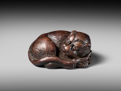 A SUPERB WOOD NETSUKE OF A RECUMBENT TIGER, ATTRIBUTED TO TAMETAKA