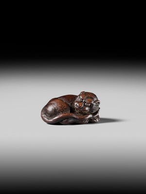 A SUPERB WOOD NETSUKE OF A RECUMBENT TIGER, ATTRIBUTED TO TAMETAKA