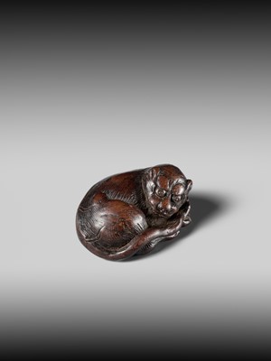 A SUPERB WOOD NETSUKE OF A RECUMBENT TIGER, ATTRIBUTED TO TAMETAKA