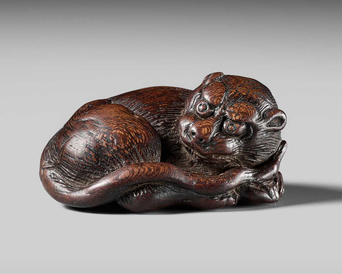 A SUPERB WOOD NETSUKE OF A RECUMBENT TIGER, ATTRIBUTED TO TAMETAKA