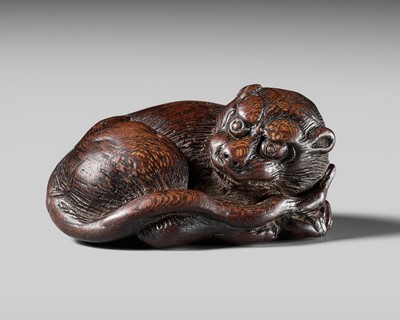 Lot 139 - A SUPERB WOOD NETSUKE OF A RECUMBENT TIGER, ATTRIBUTED TO TAMETAKA