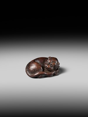 A SUPERB WOOD NETSUKE OF A RECUMBENT TIGER, ATTRIBUTED TO TAMETAKA