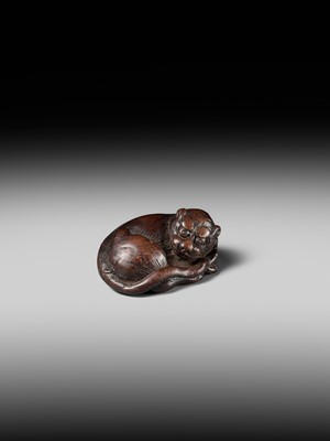 A SUPERB WOOD NETSUKE OF A RECUMBENT TIGER, ATTRIBUTED TO TAMETAKA