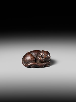 A SUPERB WOOD NETSUKE OF A RECUMBENT TIGER, ATTRIBUTED TO TAMETAKA