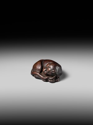A SUPERB WOOD NETSUKE OF A RECUMBENT TIGER, ATTRIBUTED TO TAMETAKA