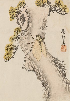 A SIGNED SURIMONO DEPICTING A CICADA ON A PINE TREE