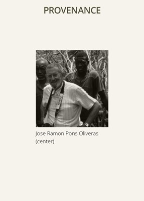 Lot 196 - A PALE PINK SANDSTONE STELE OF VISHNU VARAHA, THE COSMIC BOAR