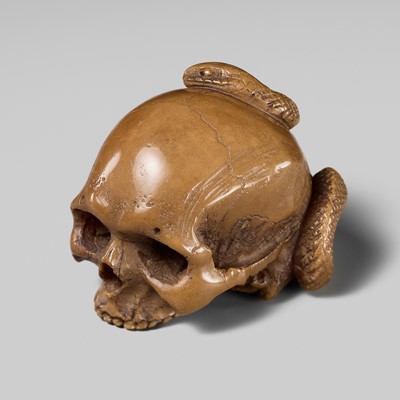 Lot 338 - A RARE COROZO NUT NETSUKE OF A SKULL AND SNAKE