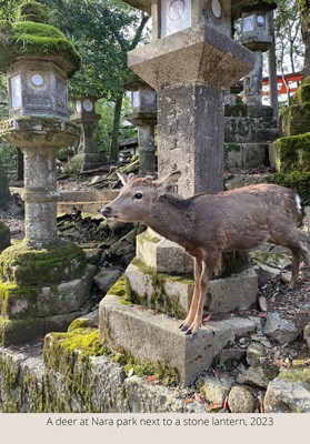 Lot 42 - A FINE BUFFALO HORN-INLAID THREE-CASE INRO OF A DEER AT NIGHT IN KASUGA PARK, NARA