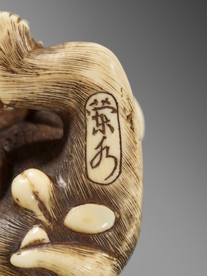 Lot 50 - RANMEI: AN IVORY NETSUKE OF A MONKEY WITH PERSIMMON