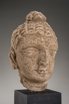 Lot 1013 - A STUCCO HEAD OF BUDDHA, GANDHARA, 3RD TO 4TH CENTURY