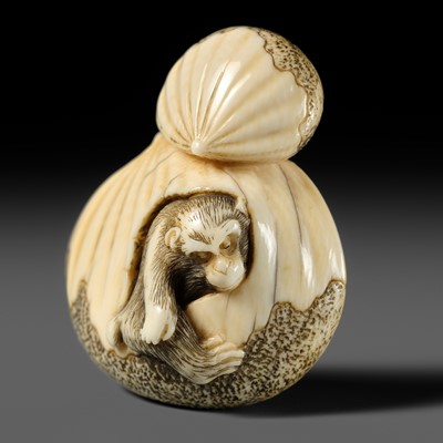 Lot 499 - AN IVORY NETSUKE OF A MONKEY EMERGING FROM A CHESTNUT