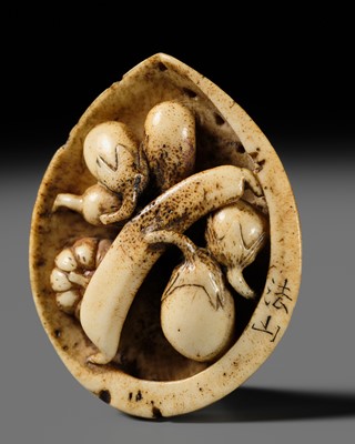 Lot 333 - HOZAN: AN ANTLER NETSUKE OF AN AWABI WITH VEGETABLES