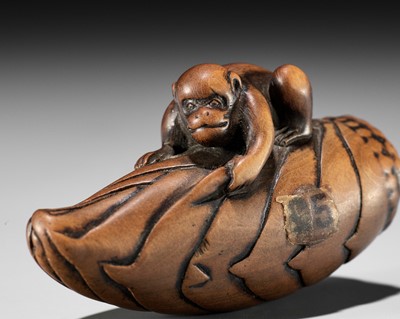 Lot 452 - A FINE WOOD NETSUKE OF A MONKEY ON BAMBOO SHOOT, ATTRIBUTED TO YAMAGUCHI OKATOMO