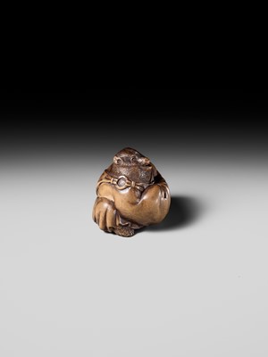 Lot 243 - A FINE AND HUMOROUS WOOD NETSUKE OF TANUKI DISGUISED AS A PRIEST