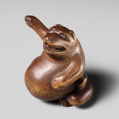 Lot 476 - MORIO: A FINE WOOD NETSUKE OF TANUKI NO HARA TSUZUMI