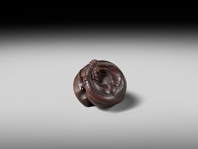 Lot 149 - MASAKAZU: A MASTERFUL WOOD NETSUKE OF A RAT GROOMING ITSELF