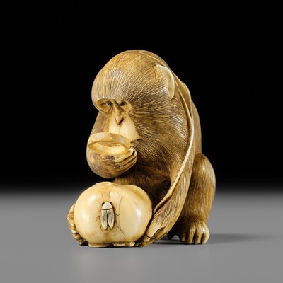 Lot 246 - MASATAMI: A FINE IVORY NETSUKE OF A MONKEY EXAMINING AN INSECT