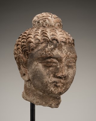 Lot 1300 - A STUCCO HEAD OF BUDDHA SHAKYAMUNI, ANCIENT REGION OF GANDHARA, 3RD-4TH CENTURY