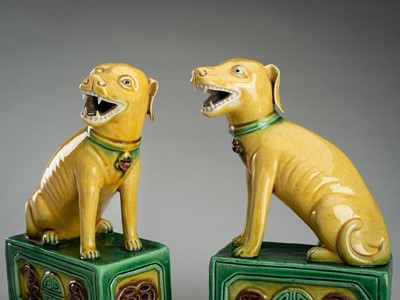 Lot 916 - A PAIR OF BISCUIT-ENAMELED SANCAI FIGURES OF DOGS, QING DYNASTY