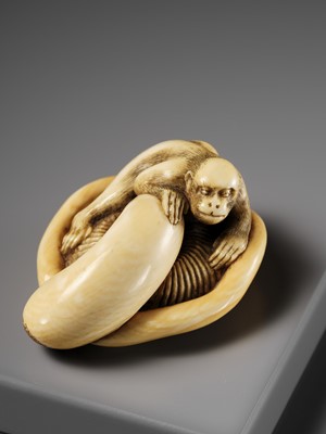 A SUPERB IVORY NETSUKE OF A MONKEY ON AN UPTURNED MUSHROOM, ATTRIBUTED TO OKATOMO