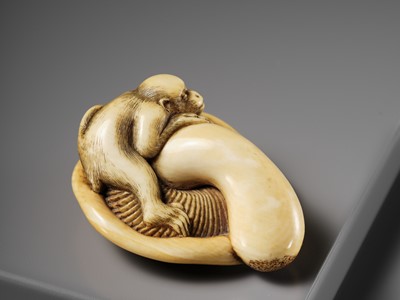 A SUPERB IVORY NETSUKE OF A MONKEY ON AN UPTURNED MUSHROOM, ATTRIBUTED TO OKATOMO