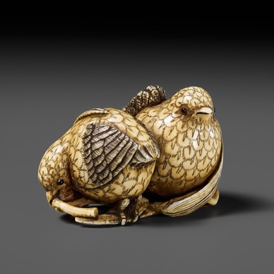 Lot 99 - A FINE OSAKA SCHOOL IVORY NETSUKE OF A PAIR OF QUAILS ON MILLET