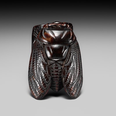 Lot 343 - A FINE UMIMATSU NETSUKE OF A CICADA ON AN OAK BRANCH