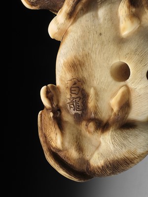 Lot 86 - HAKURYU: A RARE IVORY NETSUKE OF A RECUMBENT OX