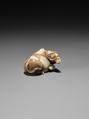 Lot 86 - HAKURYU: A RARE IVORY NETSUKE OF A RECUMBENT OX