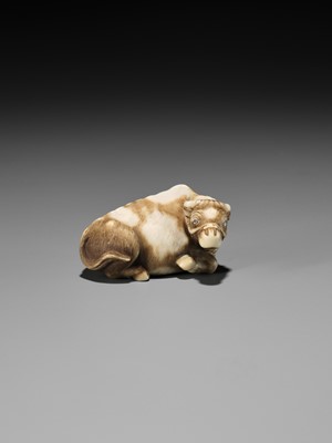 Lot 86 - HAKURYU: A RARE IVORY NETSUKE OF A RECUMBENT OX