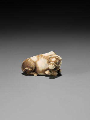 Lot 86 - HAKURYU: A RARE IVORY NETSUKE OF A RECUMBENT OX