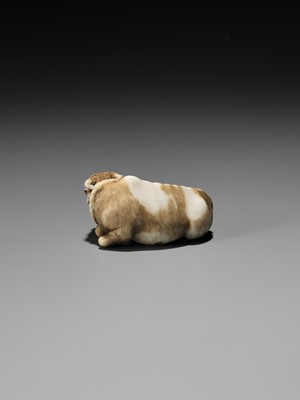 Lot 86 - HAKURYU: A RARE IVORY NETSUKE OF A RECUMBENT OX