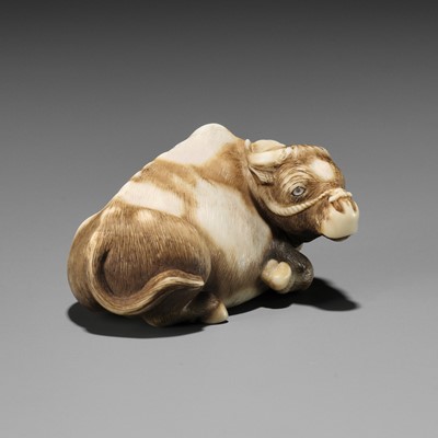 Lot 86 - HAKURYU: A RARE IVORY NETSUKE OF A RECUMBENT OX