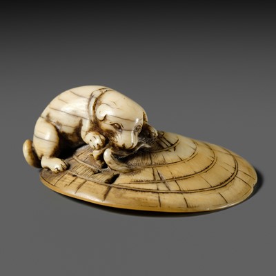 Lot 436 - AN IVORY NETSUKE OF A PUPPY ON A STRAW HAT