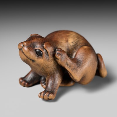 Lot 162 - NAITO TOYOMASA: A SUPERB WOOD NETSUKE OF A PUPPY SCRATCHING ITSELF