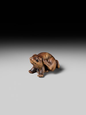 Lot 162 - NAITO TOYOMASA: A SUPERB WOOD NETSUKE OF A PUPPY SCRATCHING ITSELF