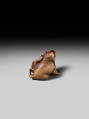 Lot 162 - NAITO TOYOMASA: A SUPERB WOOD NETSUKE OF A PUPPY SCRATCHING ITSELF