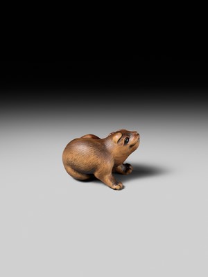 Lot 162 - NAITO TOYOMASA: A SUPERB WOOD NETSUKE OF A PUPPY SCRATCHING ITSELF